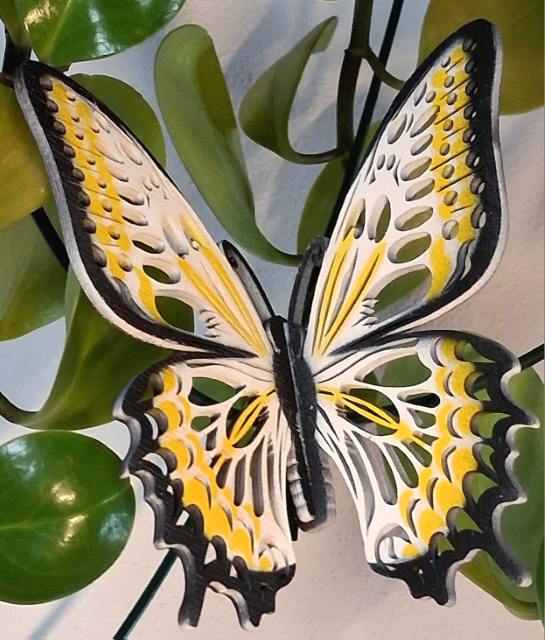 Designový dřevěný motýl Airbrush černý lem bílo-žlutý varianta 5