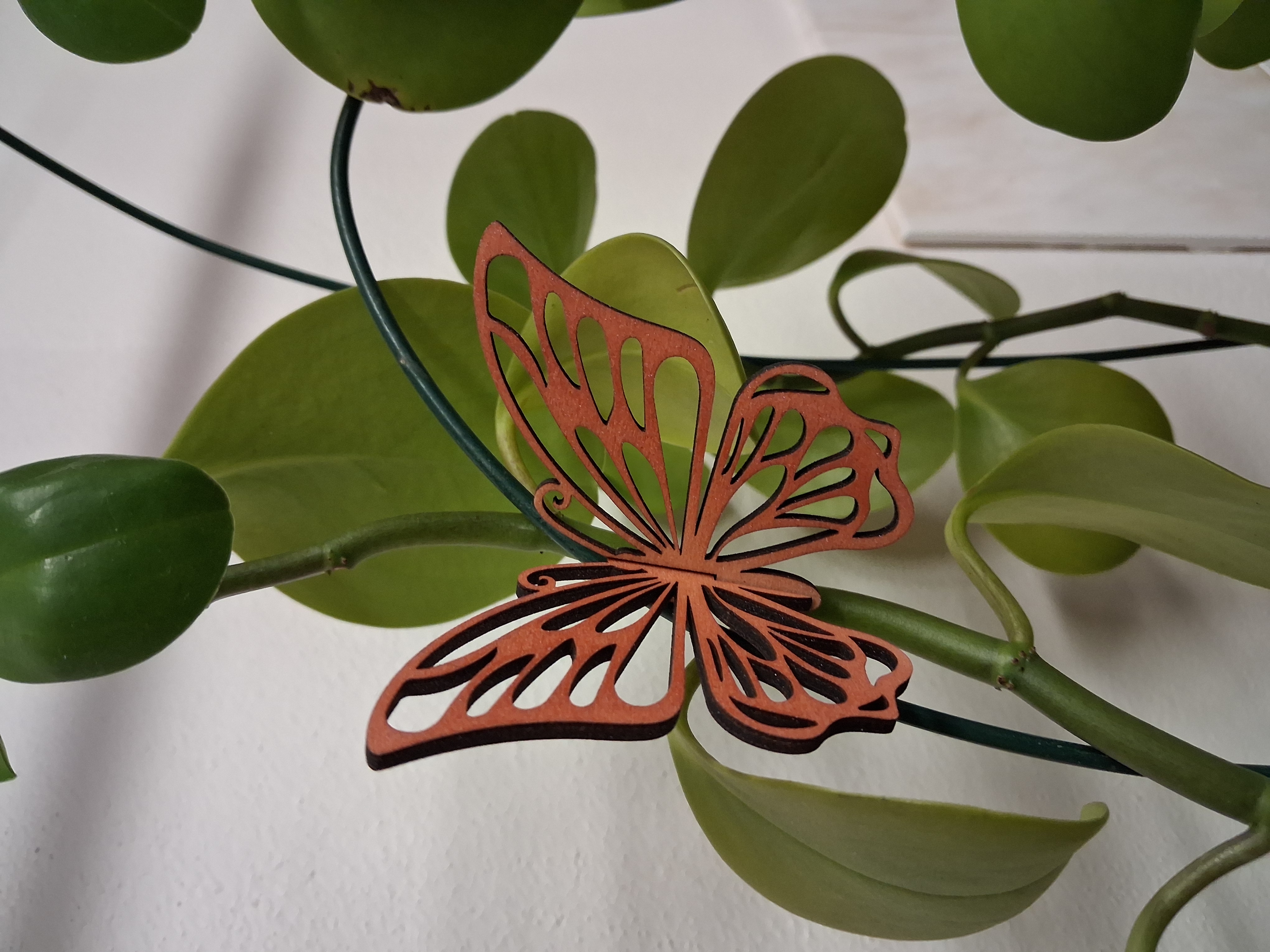 💜 Metalický dřevěný motýl s kolíčkem – Mini Edice červený - varianta 2