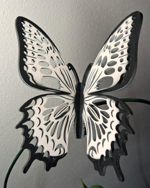Designový dřevěný motýl Airbrush černý lem bílá