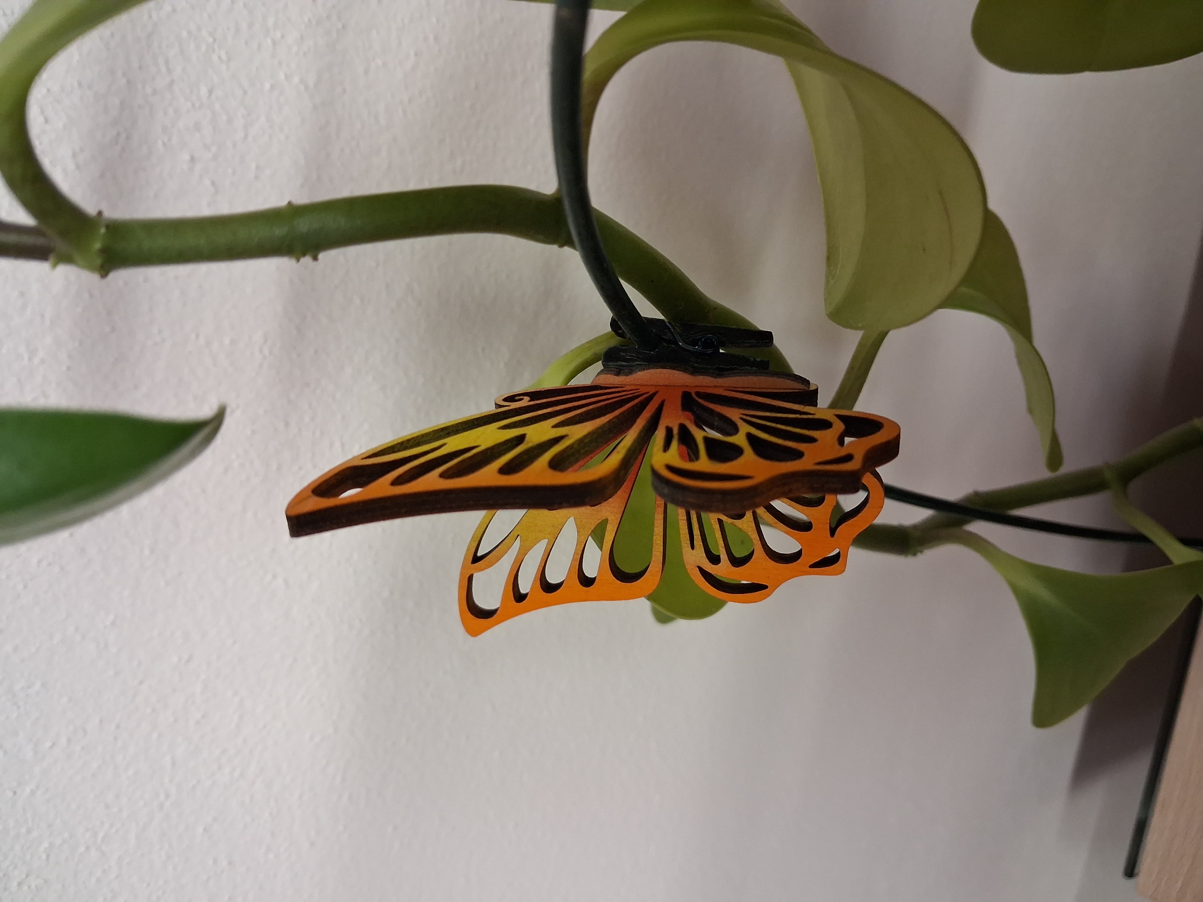 🦋 Malý dřevěný motýl na kolíčku - Duha červená - varianta 2