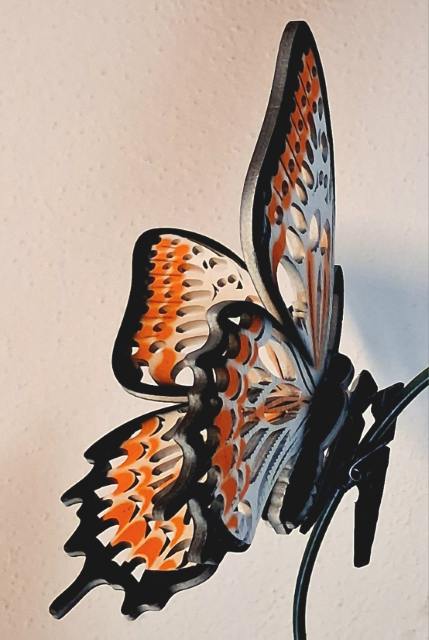 designový dřevěný motýl Airbrush černý lem bílo-oranžová varianta 5