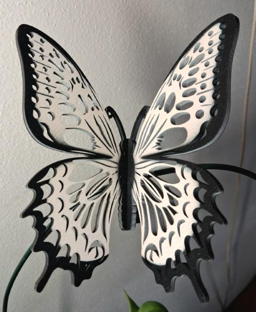 Designový dřevěný motýl Airbrush černý lem bílá