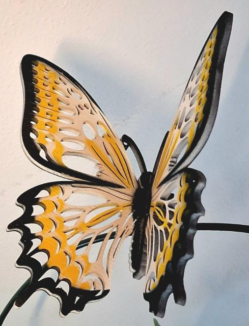 Designový dřevěný motýl Airbrush černý lem bílo-žlutý varianta 5