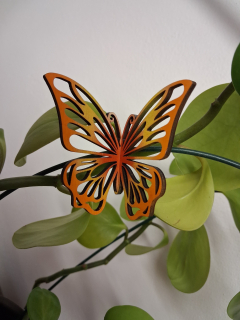 🦋 Malý dřevěný motýl na kolíčku - Duha červená - varianta 2