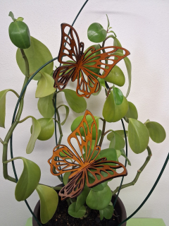 Designový dřevěný motýl – Rubínový šelak (Luxusní ruční práce) varianta 2